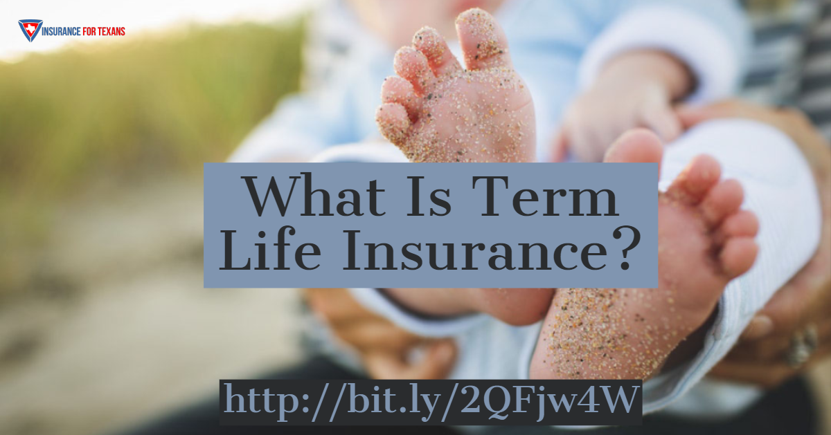 Apa Itu Term Life Insurance?